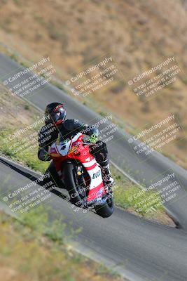 media/Jun-25-2023-2WTD (Sun) [[bf8bb0cd0b]]/A Group/session 2 turn 10/